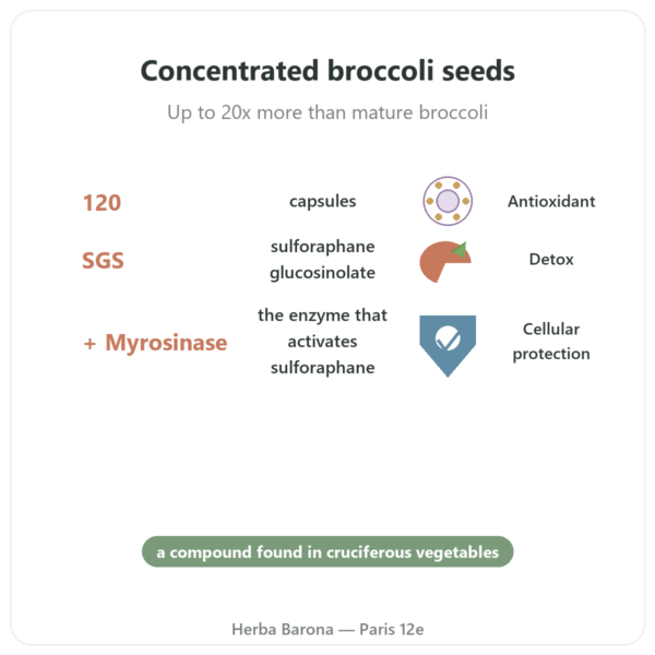 Broccomax Sulforaphane - Jarrow Formulas - 120 capsules benefits and key facts Paris Herba Barona