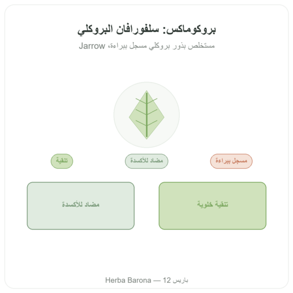 بروكوماكس سلفورافان – مستخلص البروكلي – Jarrow Formulas – 120 كبسولة عرض المنتج Paris Herba Barona