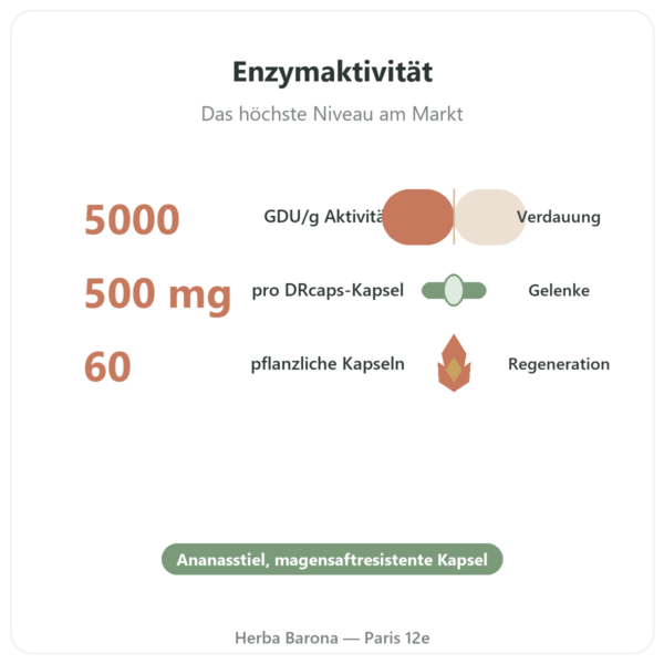 Bromelain 5000 GDU – Dynveo – 500 mg – 60 Kapseln Vorteile und Fakten Paris Herba Barona