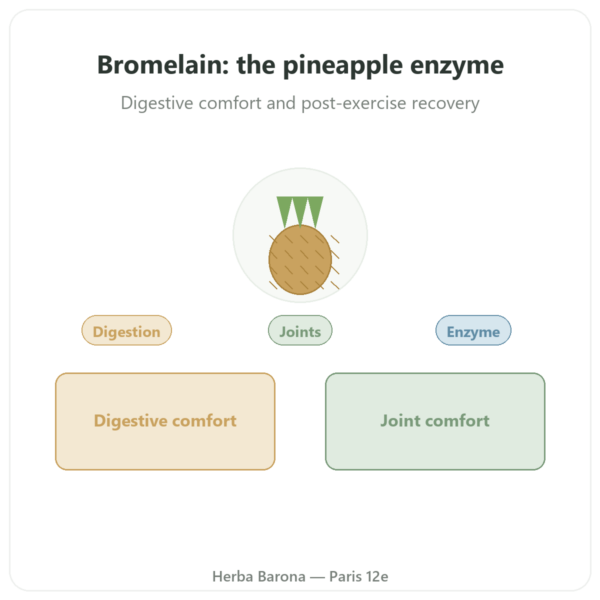 Bromelain 5000 GDU - Dynveo - 60 Capsules presentation Paris Herba Barona