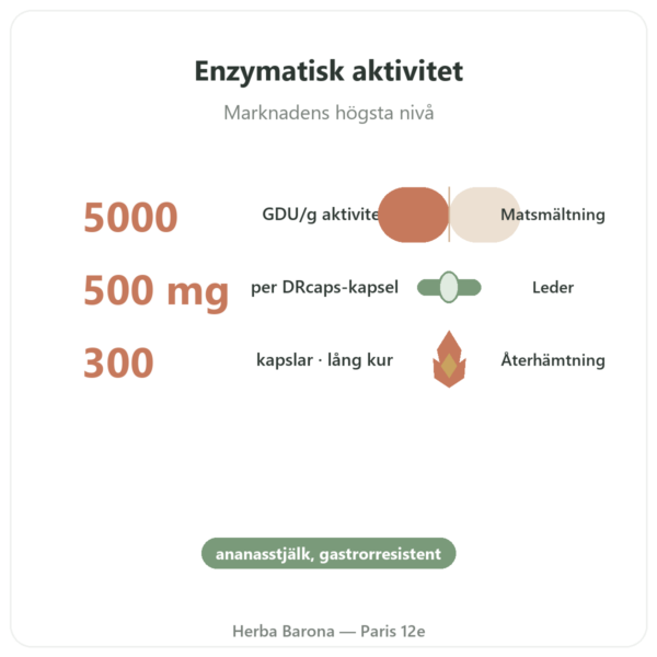 Bromelain Dynveo 300 kapslar 500 mg fördelar och nyckelfakta Paris Herba Barona