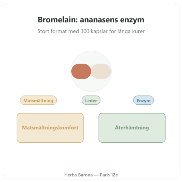 Bromelain Dynveo 300 kapslar 500 mg presentation Paris Herba Barona