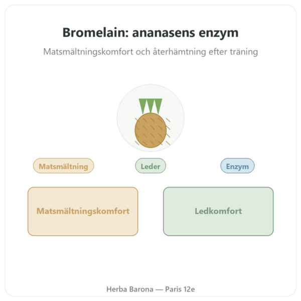 Bromelain 5000 GDU – Dynveo – 60 kapslar presentation Paris Herba Barona