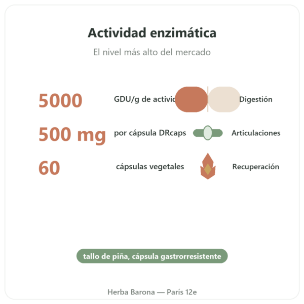 Bromelaína 5000 GDU – Dynveo – 60 cápsulas beneficios y datos clave Paris Herba Barona