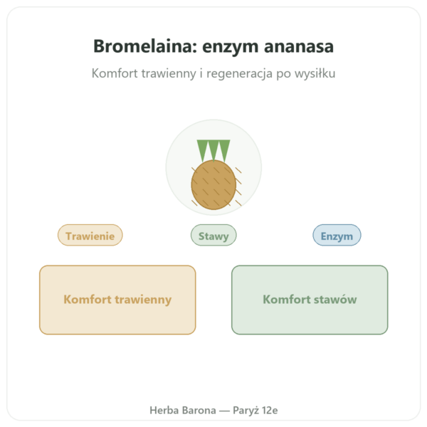 Bromelaina 5000 GDU - Dynveo - 60 kapsulek prezentacja Paris Herba Barona