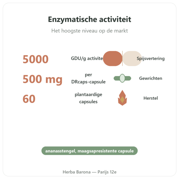 Bromelaïne 5000 GDU – Dynveo – 60 capsules voordelen en kerngegevens Paris Herba Barona