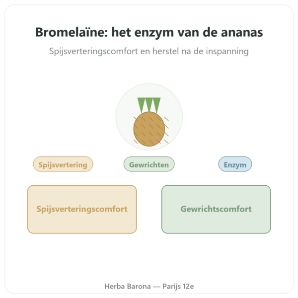 Bromelaïne 5000 GDU – Dynveo – 60 capsules presentatie Paris Herba Barona
