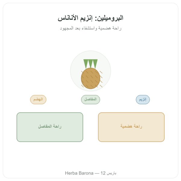 بروميلين 5000 GDU – Dynveo – 60 كبسولة عرض المنتج Paris Herba Barona