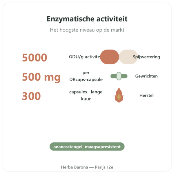 Bromelaïne Dynveo 300 capsules 500mg voordelen en kerngegevens Paris Herba Barona