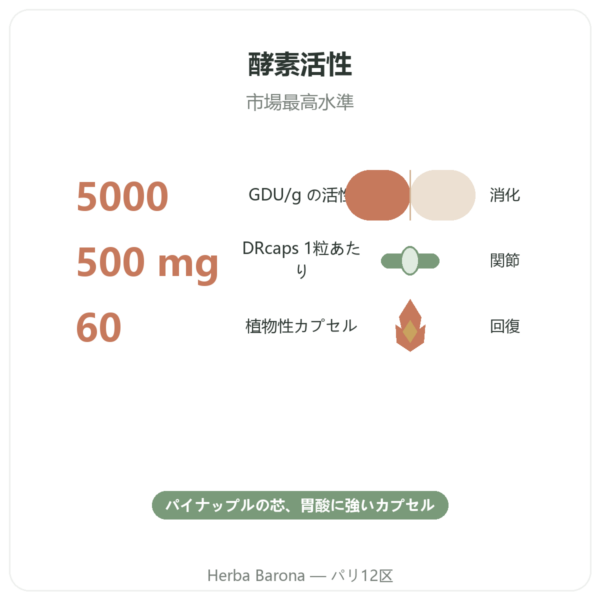 ブロメライン 5000 GDU – Dynveo – 60カプセル benefits and key facts Paris Herba Barona