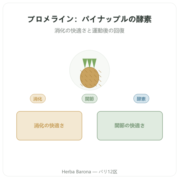 ブロメライン 5000 GDU – Dynveo – 60カプセル presentation Paris Herba Barona