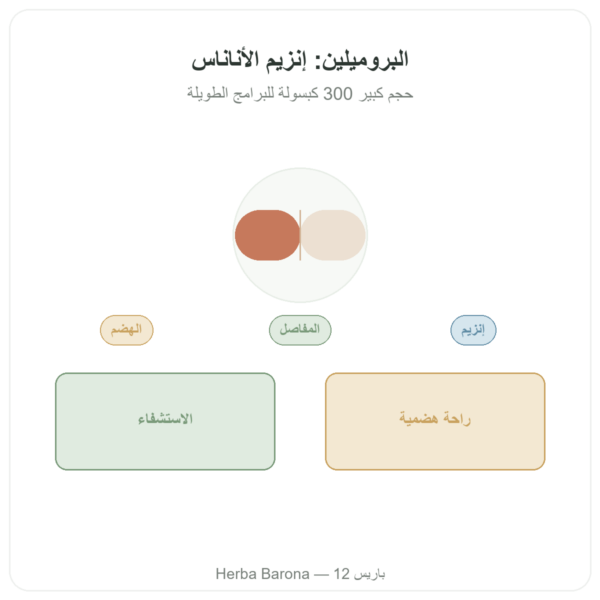 بروميلين Bromélaïne Dynveo 300 كبسولة 500mg عرض المنتج Paris Herba Barona