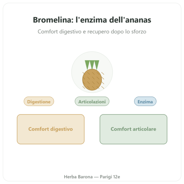 Bromelina 5000 GDU – Dynveo – 60 capsule presentazione Paris Herba Barona