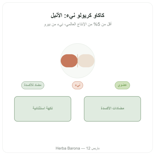 كاكاو كريولو خام نقي بودرة بيولوجية 250 غ Saldac عرض المنتج Paris Herba Barona
