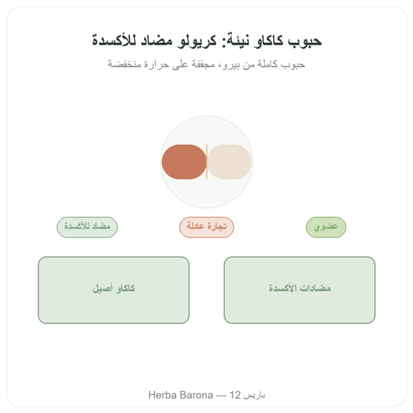 حبوب كاكاو نيء عضوي، صنف كريولو 250 غ – Saldac عرض المنتج Paris Herba Barona