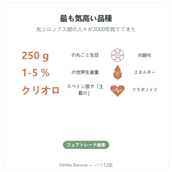生カカオ豆 オーガニック クリオロ種 250 g – Saldac benefits and key facts Paris Herba Barona