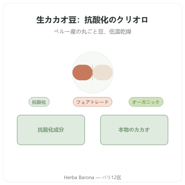 生カカオ豆 オーガニック クリオロ種 250 g – Saldac presentation Paris Herba Barona
