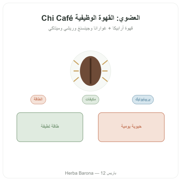 Chi café BIO سريع الذوبان Dr Jacob's 400 غ عرض المنتج Paris Herba Barona