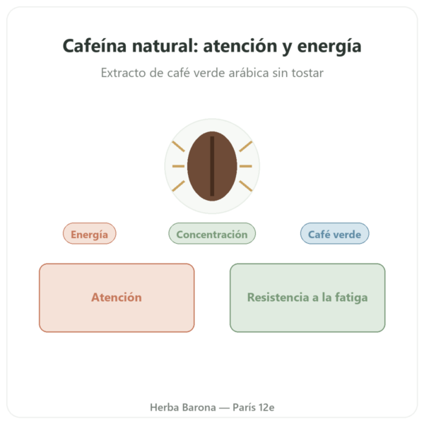 Cafeína Natural – Nutrimuscle – 30 Cápsulas presentación Paris Herba Barona