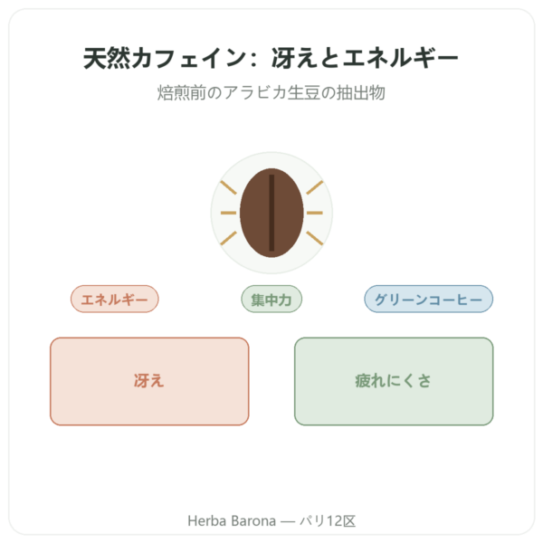 Caféine Naturelle Nutrimuscle 30カプセル presentation Paris Herba Barona