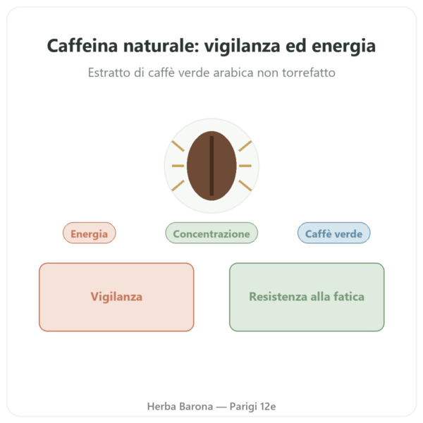 Caffeina Naturale Nutrimuscle 30 capsule presentazione Paris Herba Barona