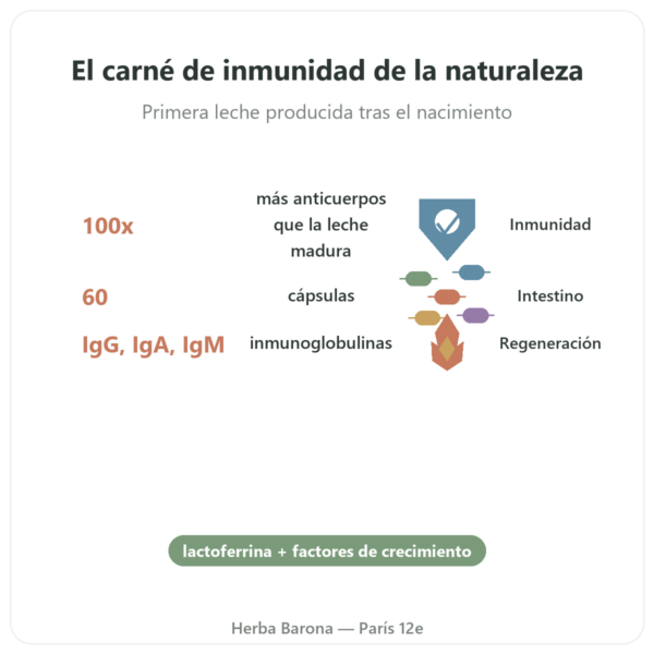 Calostro – SIHO – 60 Cápsulas beneficios y datos clave Paris Herba Barona