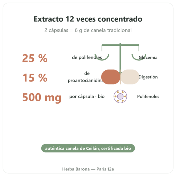 Canela de Ceilán – 50% polifenoles – Dynveo – 500mg / 60 cápsulas beneficios y datos clave Paris Herba Barona