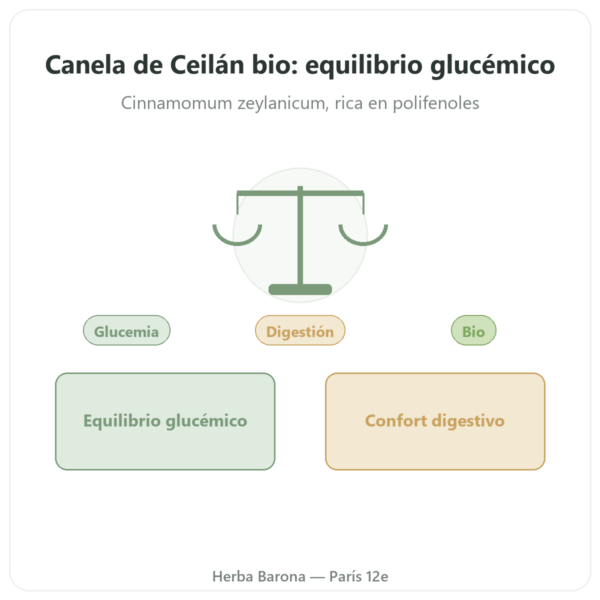 Canela de Ceilán – 50% polifenoles – Dynveo – 500mg / 60 cápsulas presentación Paris Herba Barona