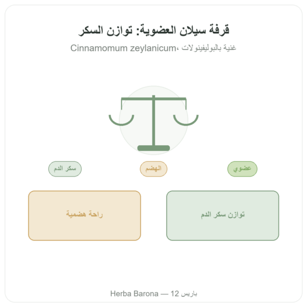 قرفة سيلان – 50% بوليفينولات – Dynveo – 500ملغ / 60 كبسولة عرض المنتج Paris Herba Barona