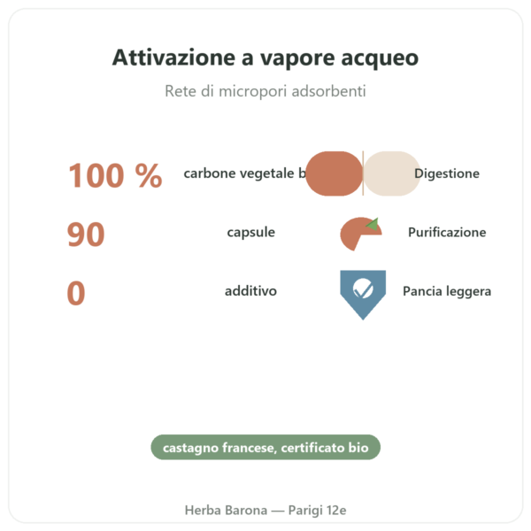 Carbone Attivo Vegetale BIO Micropori – 90 capsule – Dynveo benefici e dati chiave Paris Herba Barona