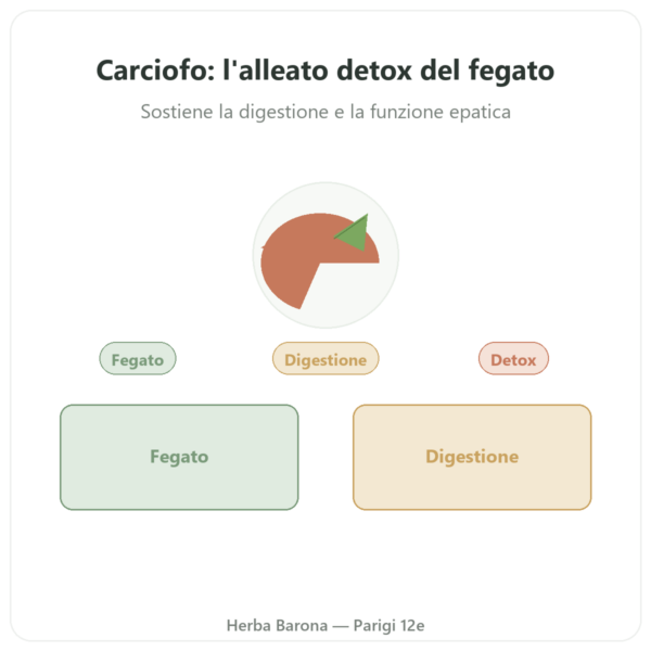 Carciofo 500 mg (5% di cinarina) 60 capsule Dynveo presentazione Paris Herba Barona