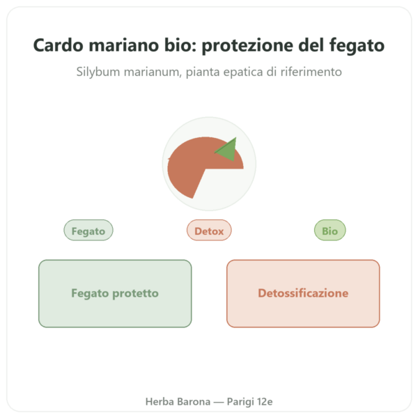 Cardo Mariano bio Dynveo 60 capsule 200mg presentazione Paris Herba Barona