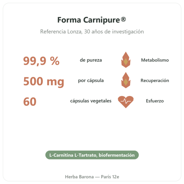 Carnitina (tartrato) Carnipure® – 500mg / 60 cápsulas – Dynveo beneficios y datos clave Paris Herba Barona