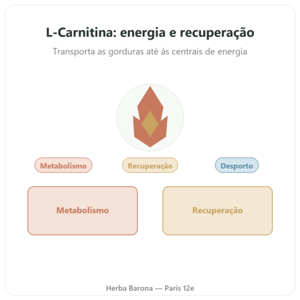 Carnitina (tartarato) Carnipure® 500mg 60 cápsulas Dynveo apresentação Paris Herba Barona