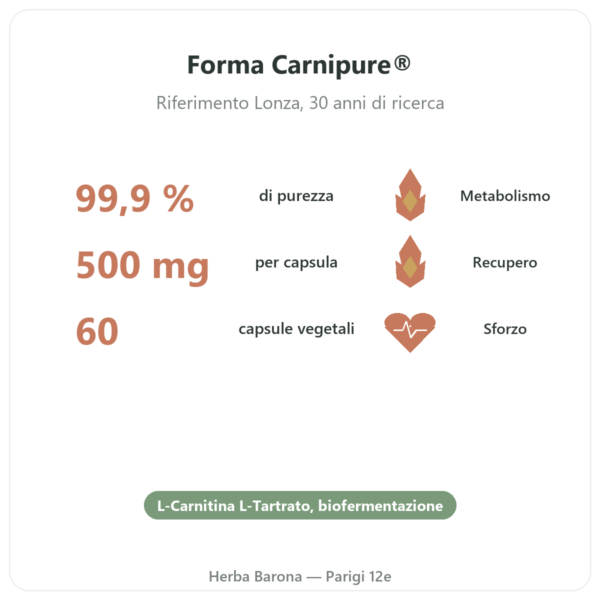 Carnitina (tartrato) Carnipure® – 500mg / 60 capsule Dynveo benefici e dati chiave Paris Herba Barona