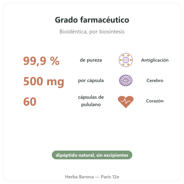 Carnosina 500 mg – 60 cápsulas – Dynveo beneficios y datos clave Paris Herba Barona
