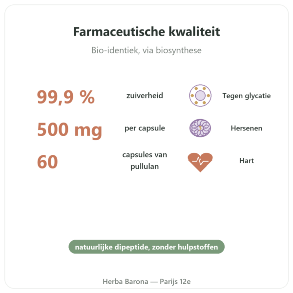 Carnosine 500 mg 60 capsules – DYNVEO voordelen en kerngegevens Paris Herba Barona