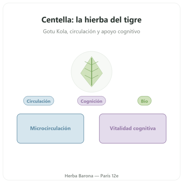 Centella Asiática Bio (Gotu Kola) – Ayur-vana – 60 Cápsulas presentación Paris Herba Barona