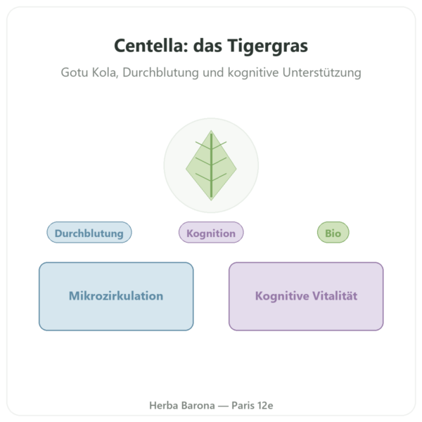 Centella Asiatica Bio (Gotu Kola) – Ayur-vana – 60 Kapseln Vorstellung Paris Herba Barona