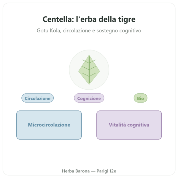 Centella Asiatica Bio (Gotu Kola) – Ayur-vana – 60 capsule presentazione Paris Herba Barona