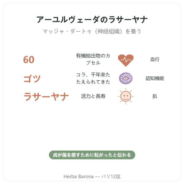 ツボクサ BIO（ゴツコラ・Centella Asiatica） – Ayur-vana – 60カプセル benefits and key facts Paris Herba Barona