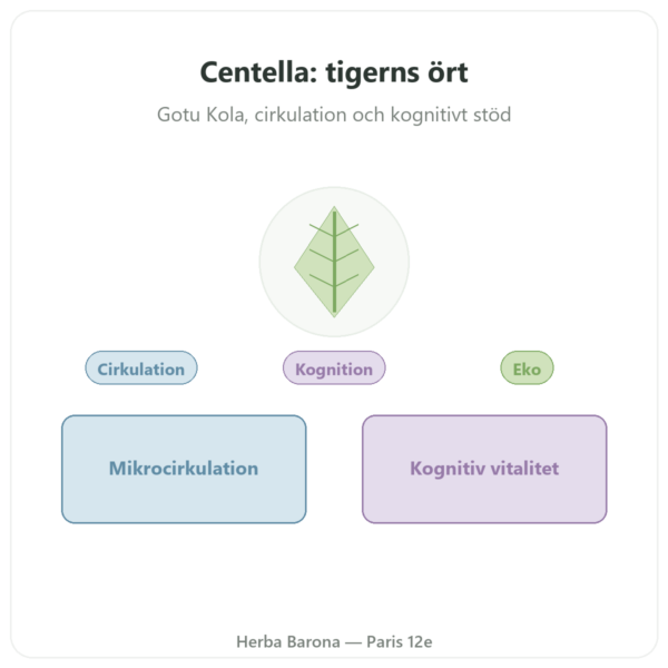 Centella Asiatica Bio (Gotu Kola) – Ayur-vana – 60 kapslar presentation Paris Herba Barona