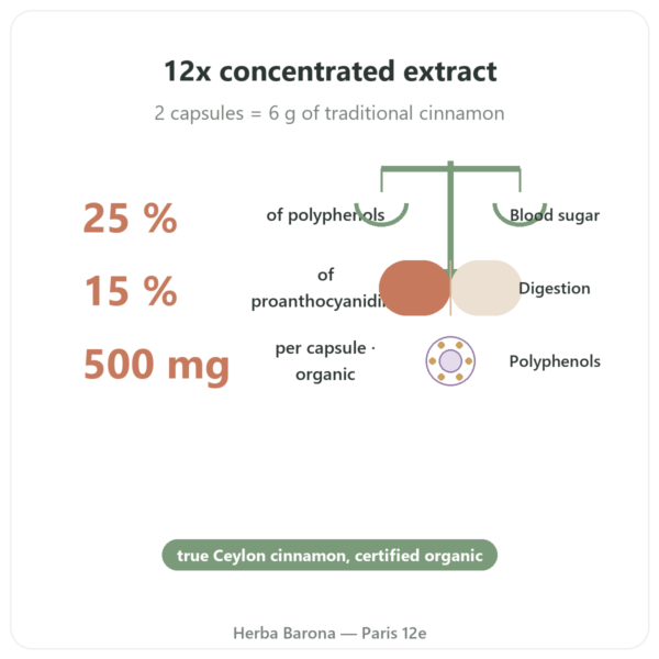 Ceylon Cinnamon Extract – Dynveo – 500mg / 60 Capsules benefits and key facts Paris Herba Barona