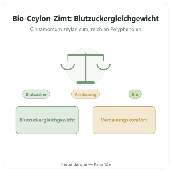 Ceylon-Zimt-Extrakt 50 % Polyphenole – Dynveo – 500 mg – 60 Kapseln Vorstellung Paris Herba Barona