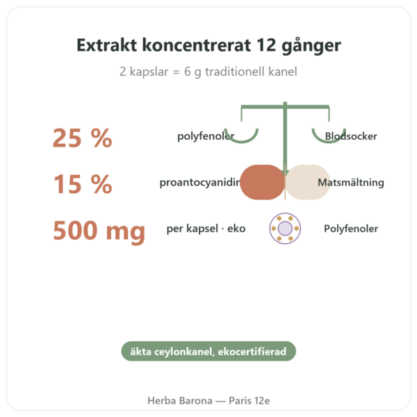 Ceylonkanel – 50 % polyfenoler – Dynveo – 500 mg / 60 kapslar fördelar och nyckelfakta Paris Herba Barona