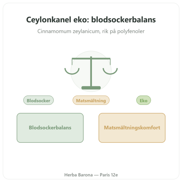 Ceylonkanel – 50 % polyfenoler – Dynveo – 500 mg / 60 kapslar presentation Paris Herba Barona