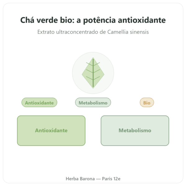Chá Verde bio – 60 cápsulas 500 mg 90% polifenóis – Dynveo apresentação Paris Herba Barona