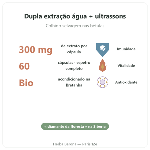 Chaga Bio – SIHO 60 cápsulas benefícios e dados principais Paris Herba Barona