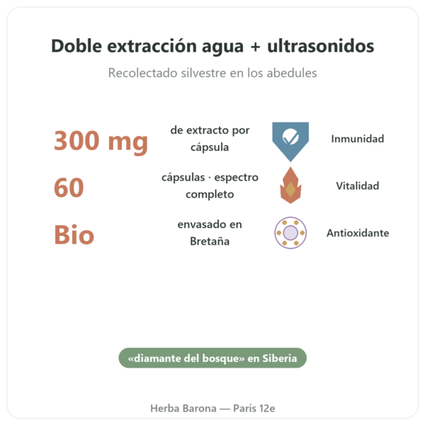 Chaga Bio – SIHO – 60 Cápsulas beneficios y datos clave Paris Herba Barona