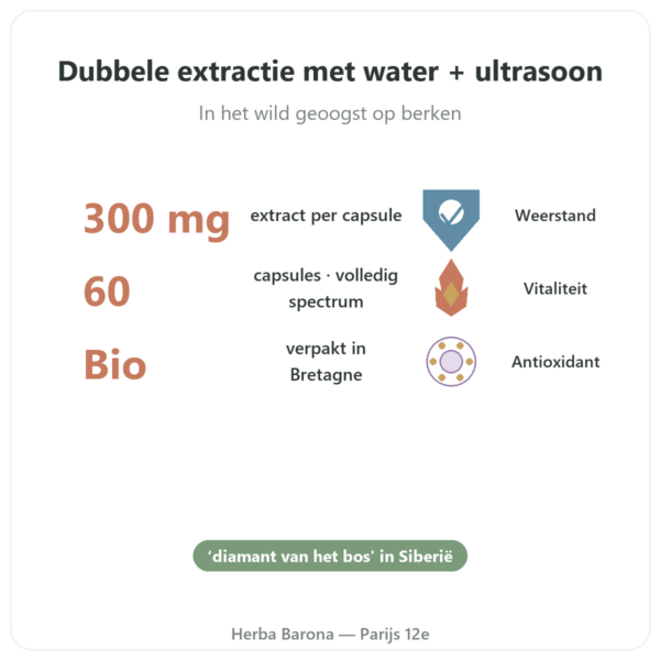 Chaga Bio - SIHO - 60 capsules voordelen en kerngegevens Paris Herba Barona